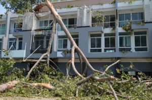 disaster cleanup